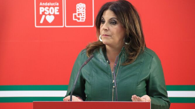 La parlamentaria socialista Ángeles Férriz durante la rueda de prensa.